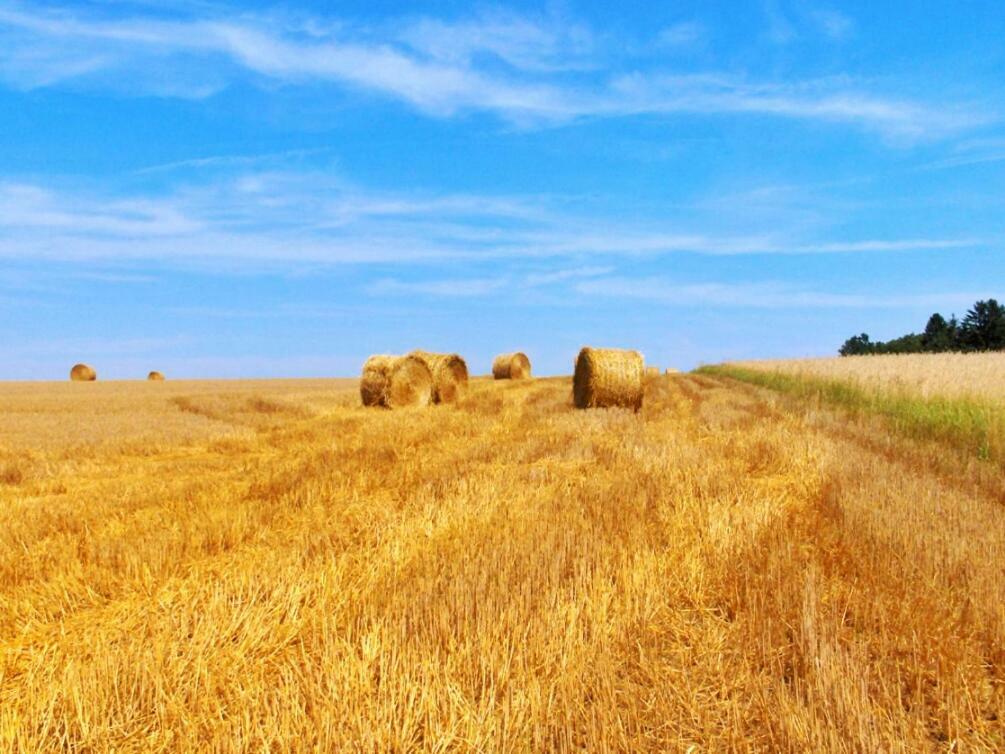 Apartmán Casa Dante Vivo dʼOrcia Exteriér fotografie