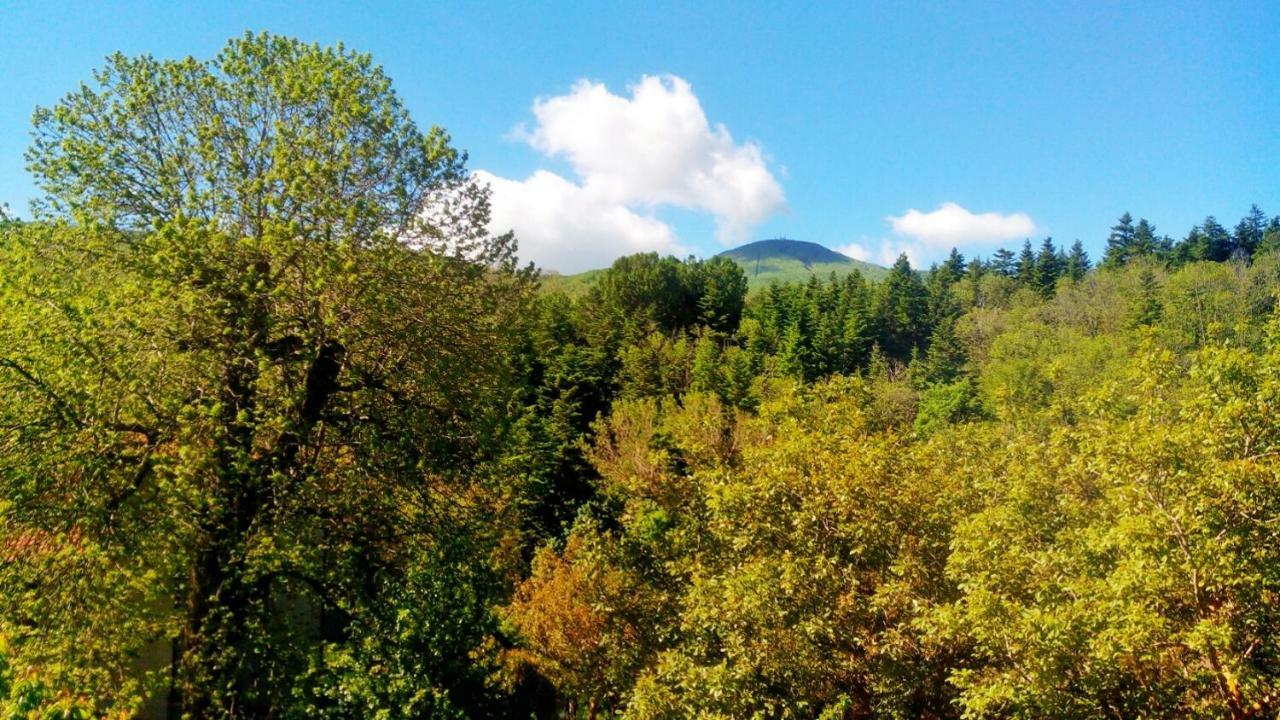 Apartmán Casa Dante Vivo dʼOrcia Exteriér fotografie